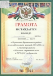 I место в Первенстве Ермаковского района по волейболу среди юношей 2005-2006 г.р. в рамках программы «Школьная спортивная лига» в 2019-2020 учебном году.  Участие в зональных соревнованиях в г. Минусинске.